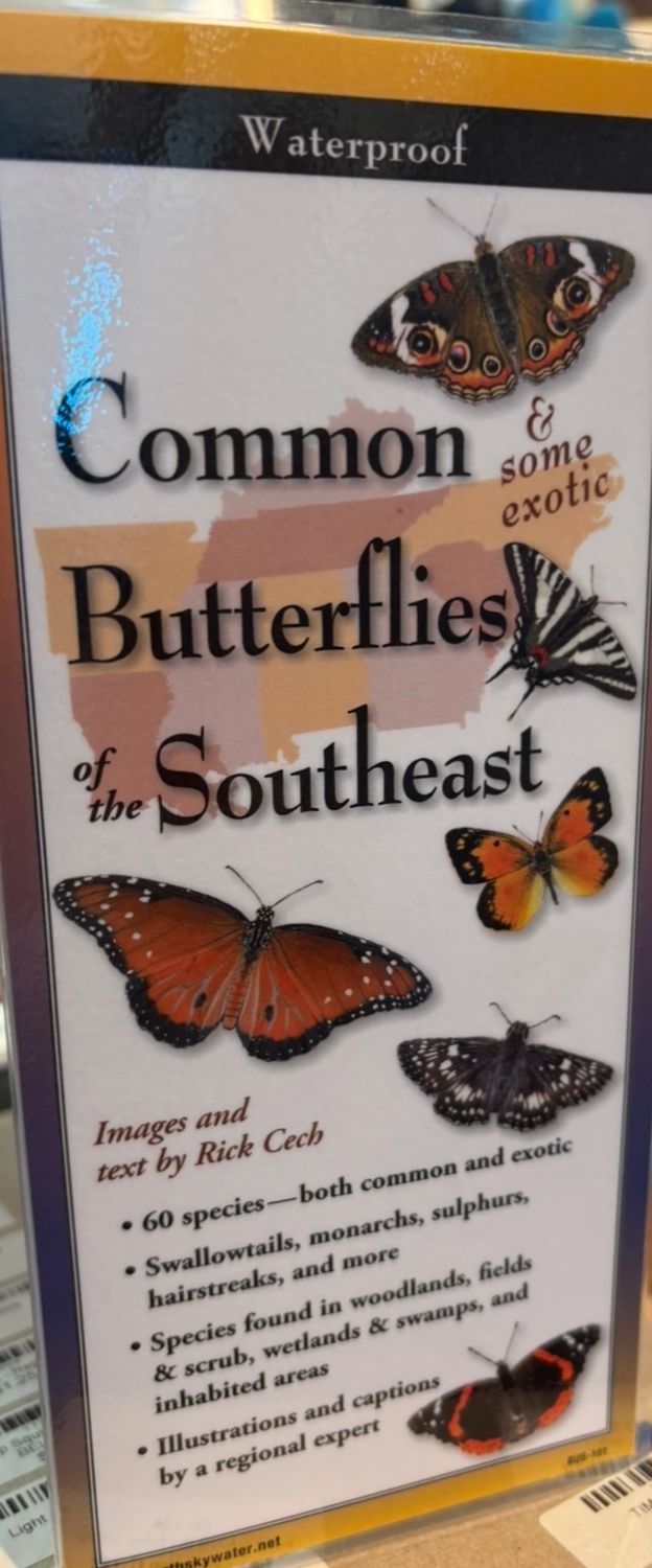 Common Butterflies of SE Guide/F-32/10