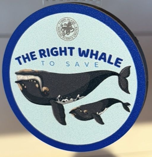 Right Whale 4" Magnet color/150