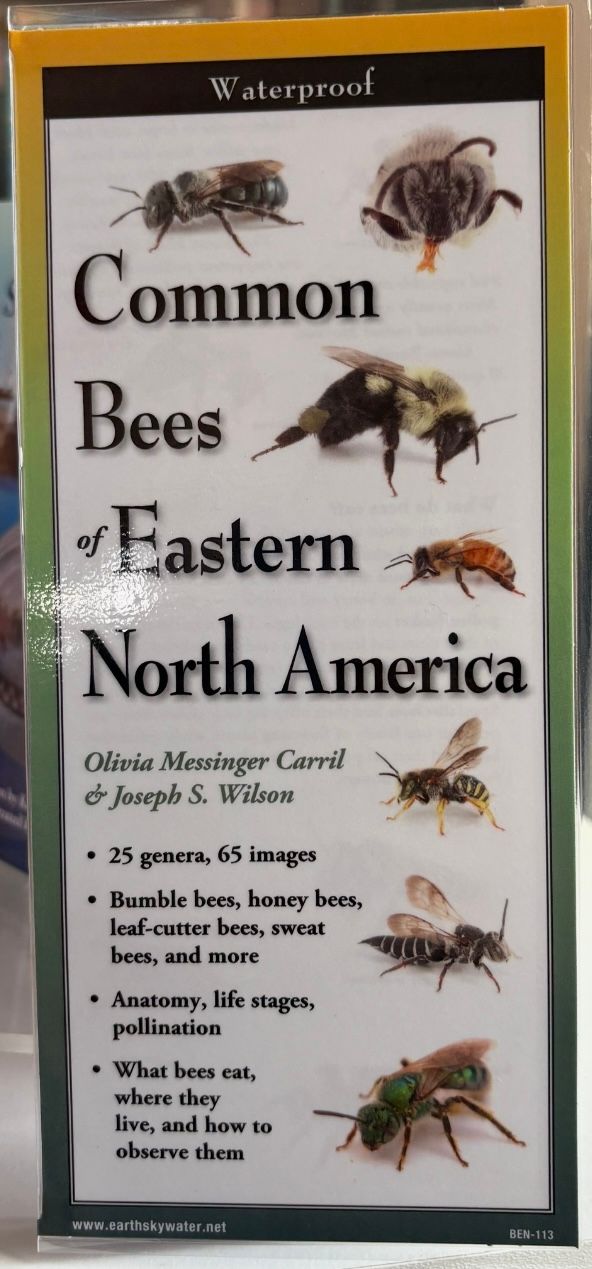 Common Bees Eastern NA Guide/F113/10