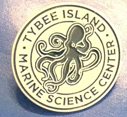 TIMSC Lapel Pin 1"