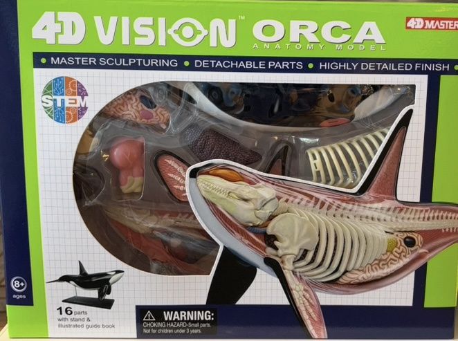 4D Orca/26099/2