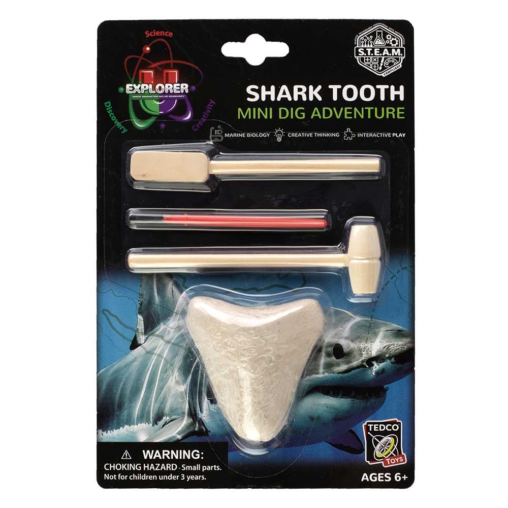 Shark Teeth Dig/900007/24