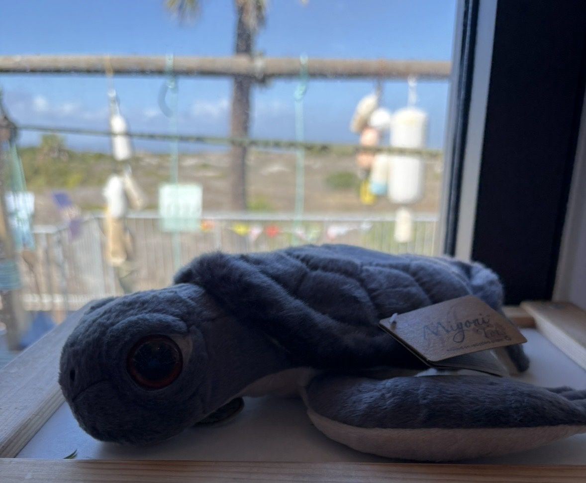 Sea Turtle Hatchling 11"/26547/4