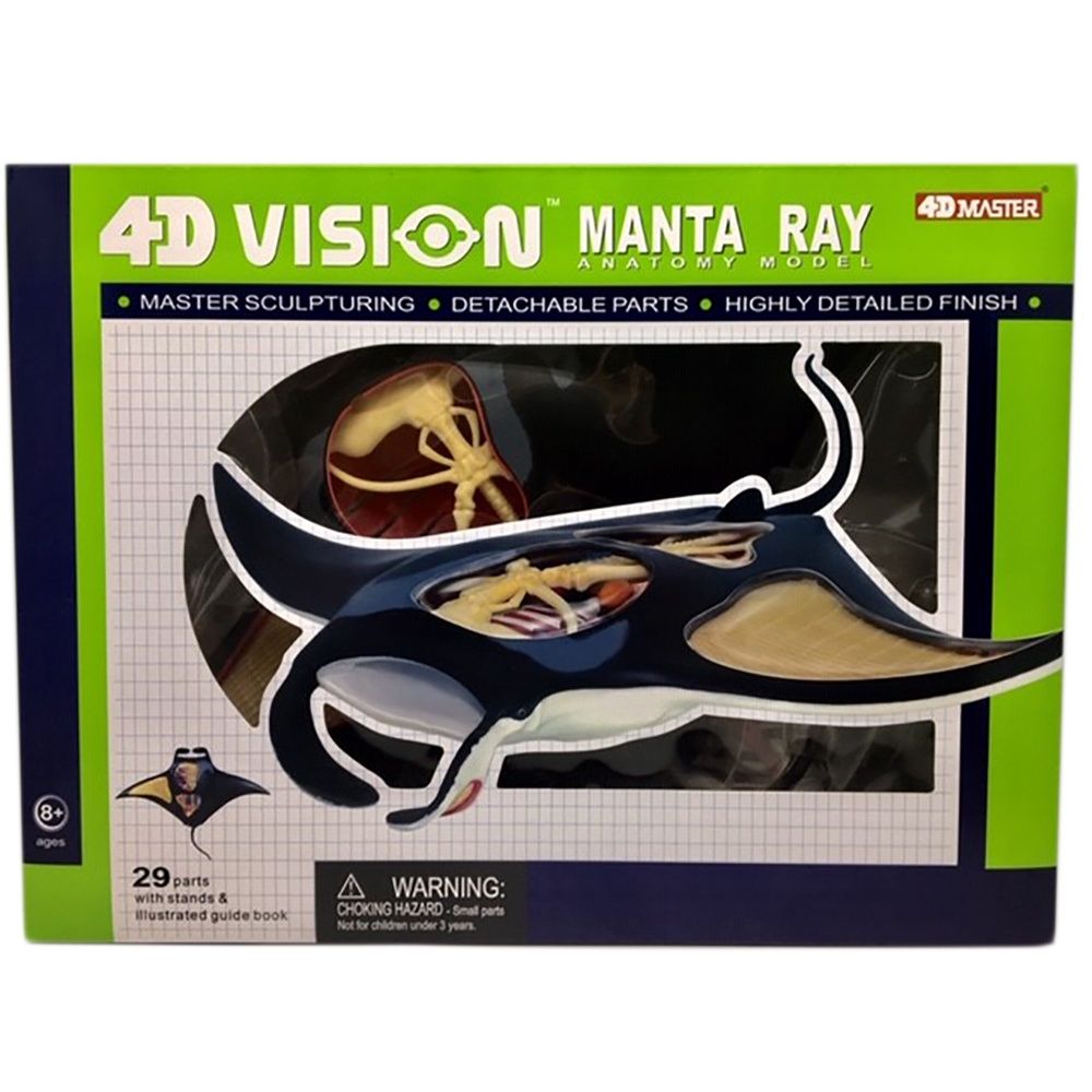 4D Manta Ray/26010/2