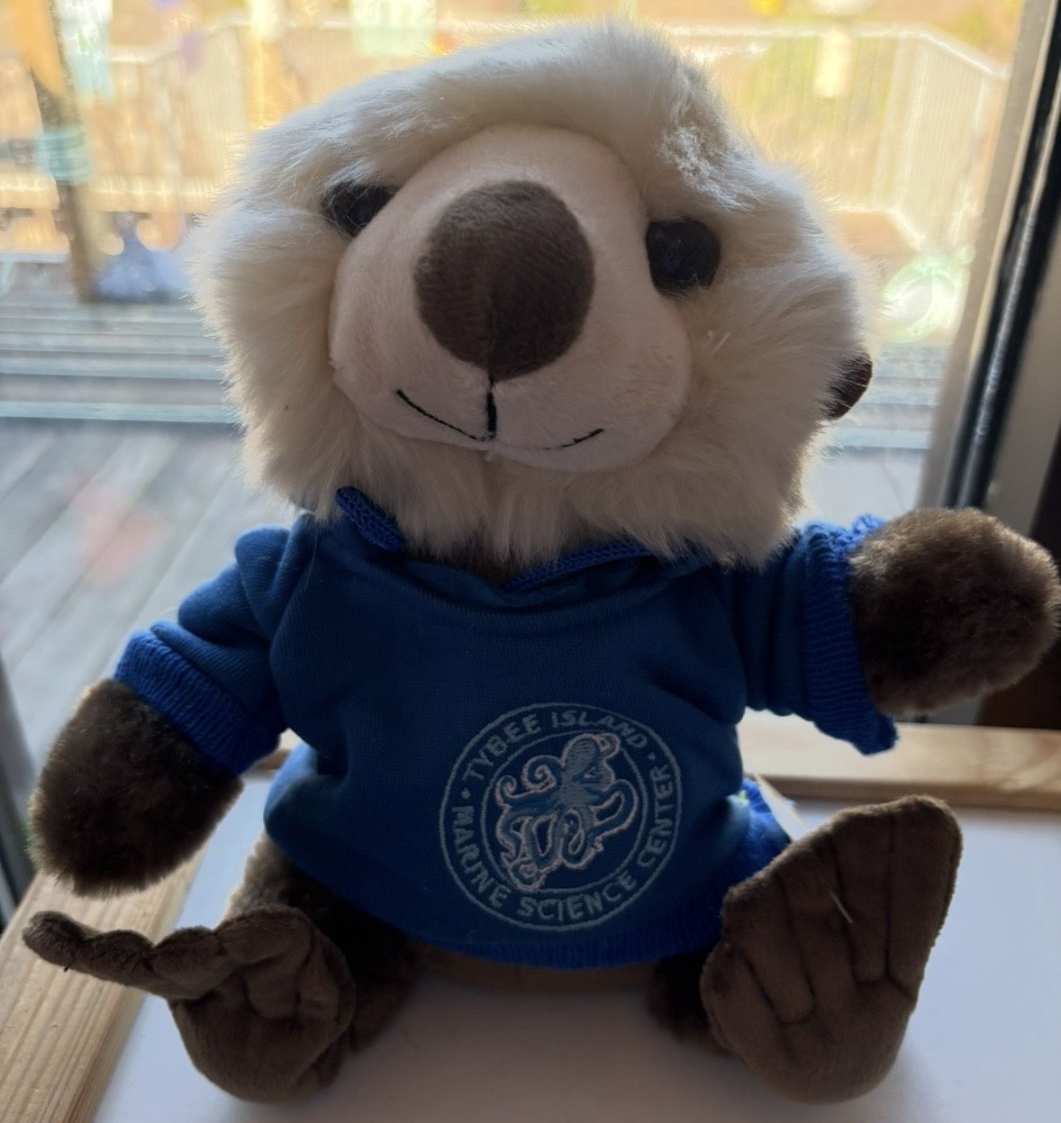 Hoodie Logo Sea Otter/310508/12