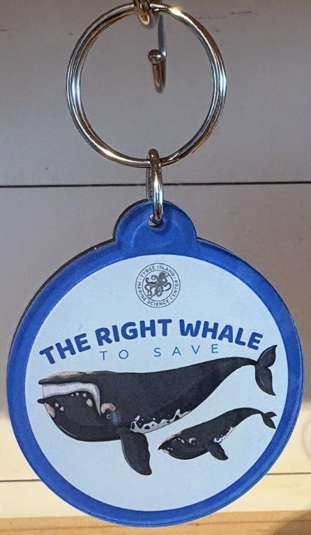 Right Whale Key Chain 4"/150
