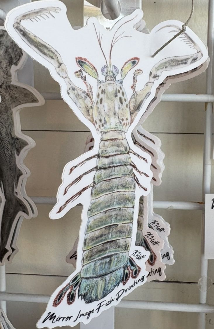 Mantis Shrimp Sticker/10