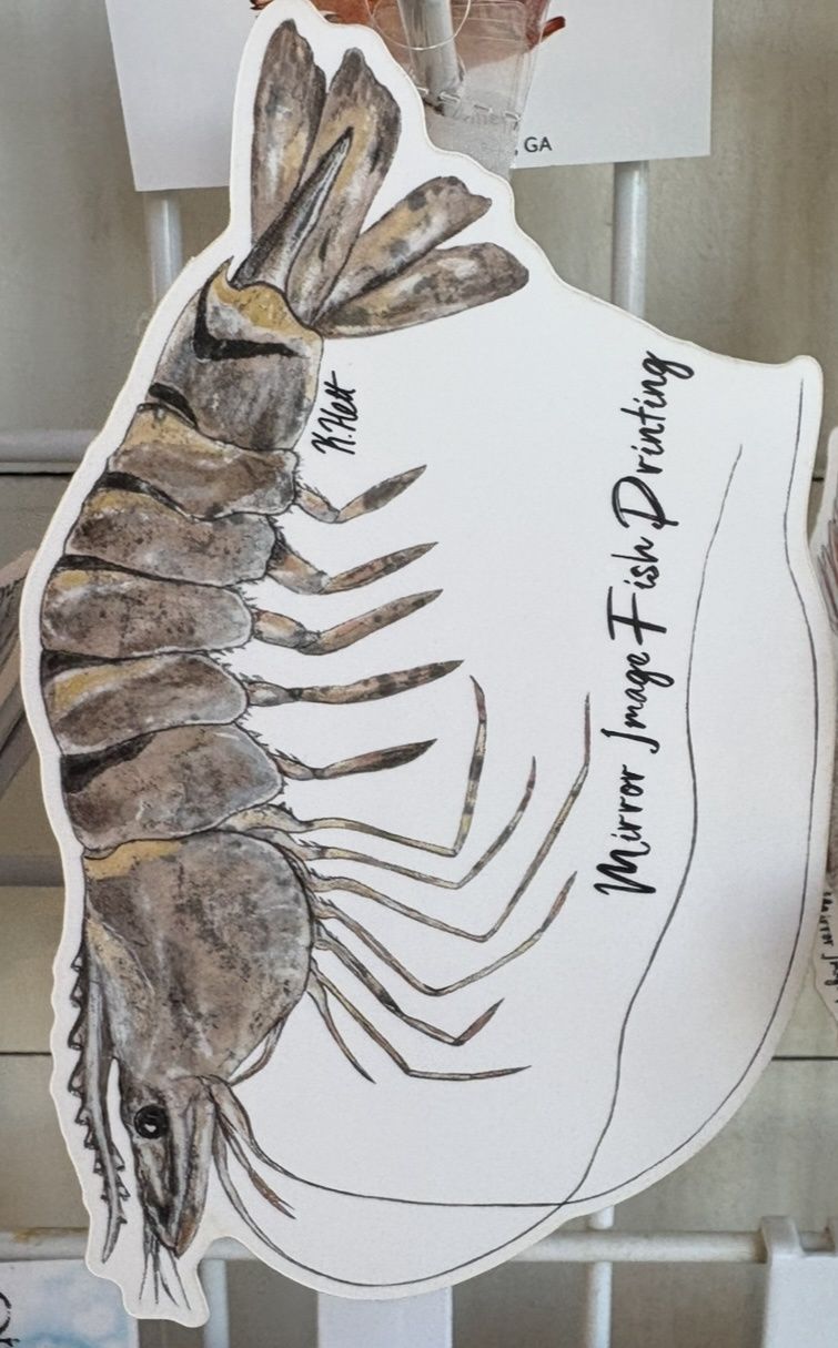 Tyger Shrimp Sticker/10