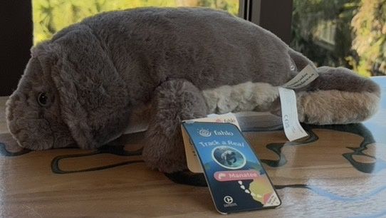 Manatee Plush Tracker/P-Manatee/4