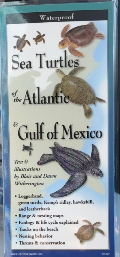 Sea Turtles Atlantic & Gulf Mexico Guide/F-60/10