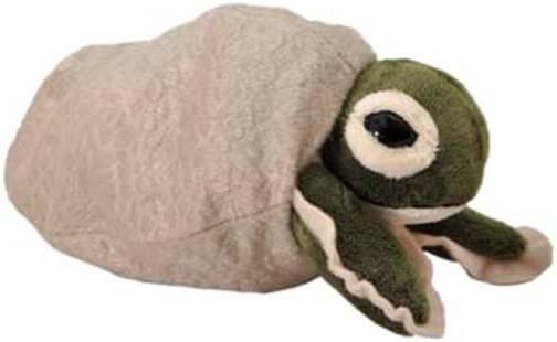 SEA TURTLE HATCHLING/317551