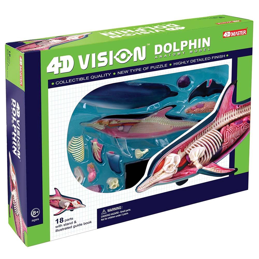 4D Dolphin/26103/2