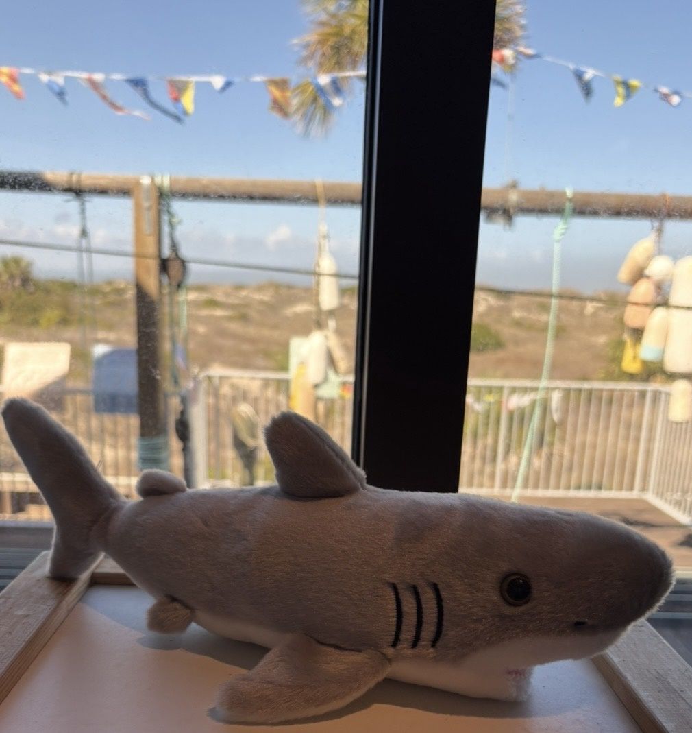 Great White Shark 12"/31942/4