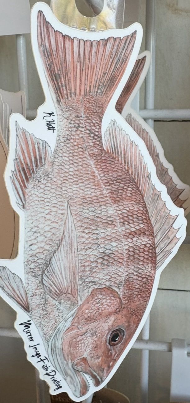 American Red Snapper Sticker/10