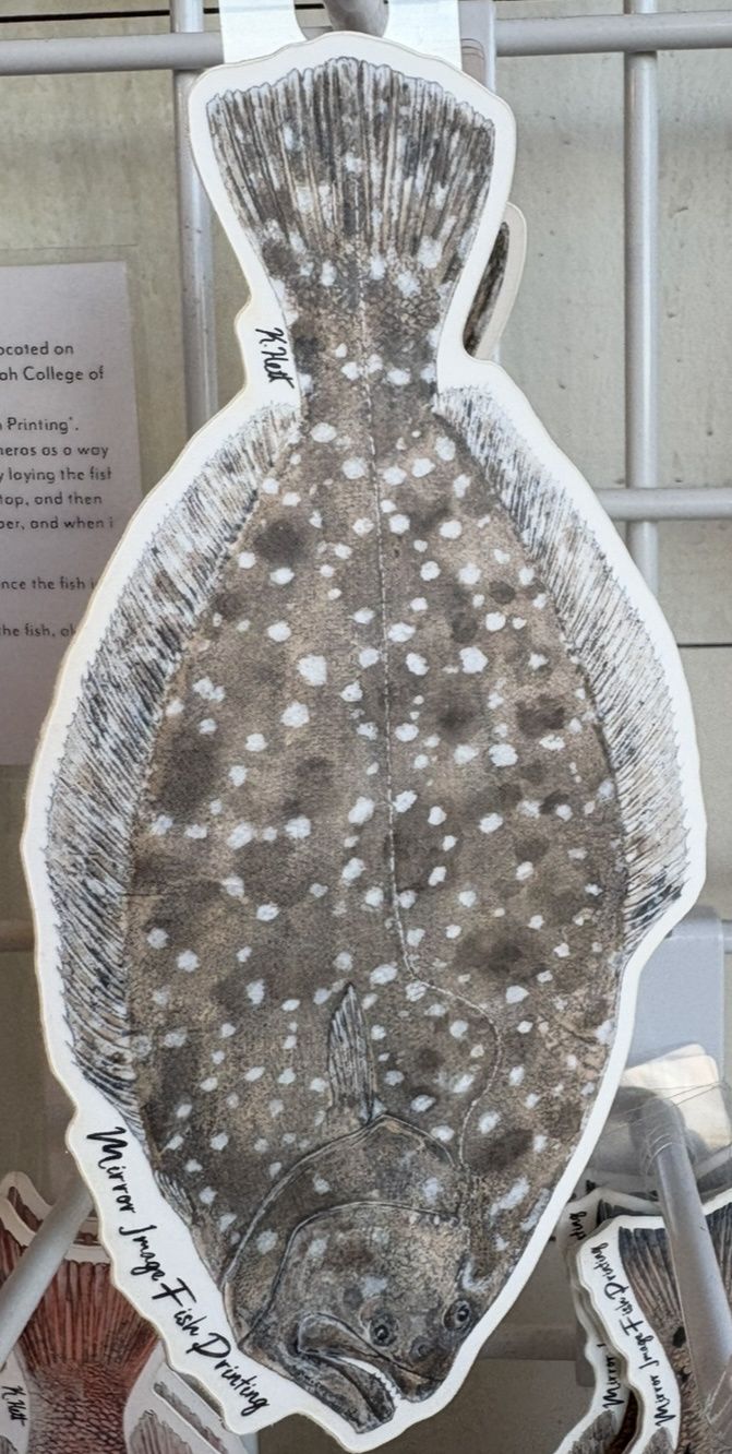 Southern Flounder Sticker/10