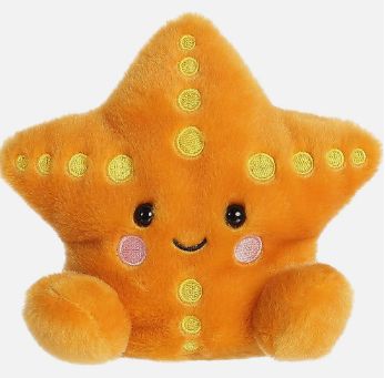 Palm Pal Treasure Starfish/33729/12