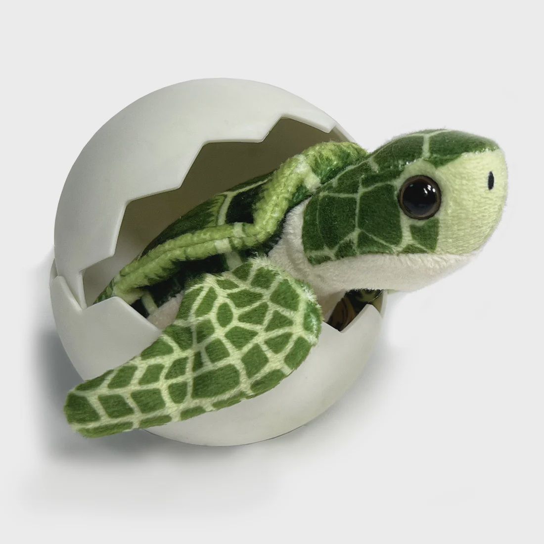Sea Turtle Hatchling/CACHA413-MF12