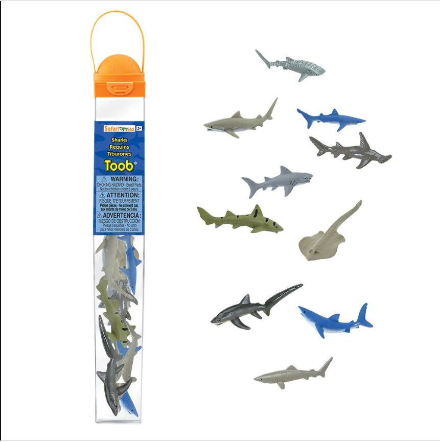 TOOBZ SHARKS/697104