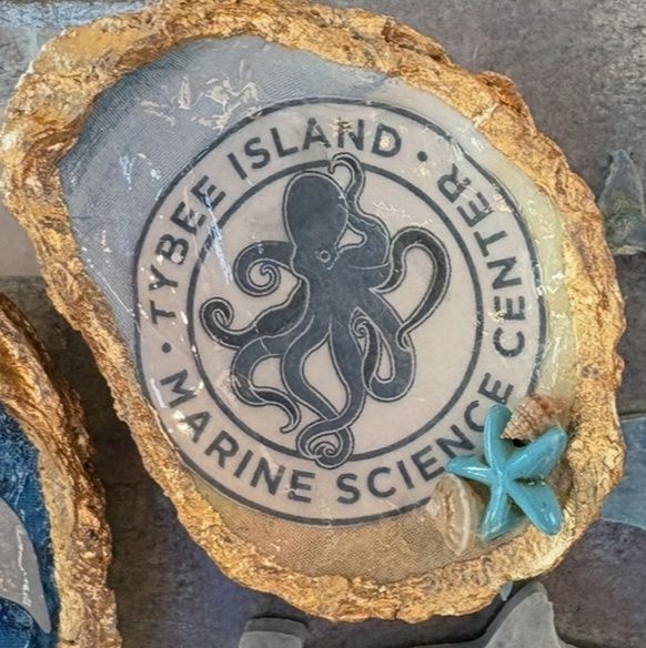TIMSC Oyster magnets