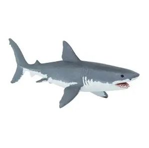 Great White Shark WS
