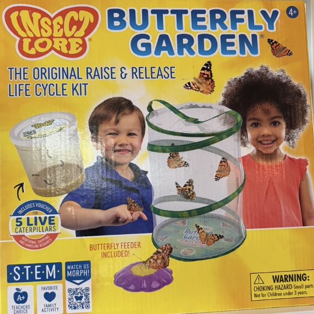 Butterfly Garden/1010/6