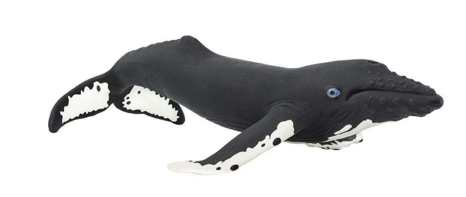 Humpback Whale 7"/202029/6