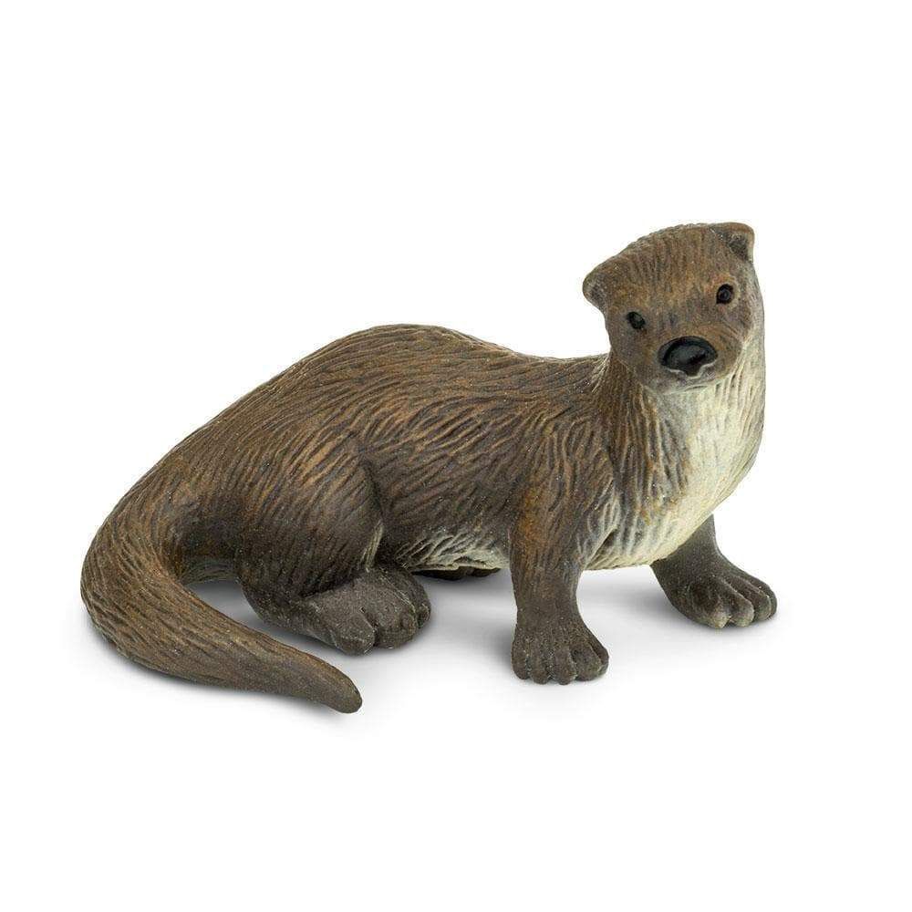 River Otter Safari/291529