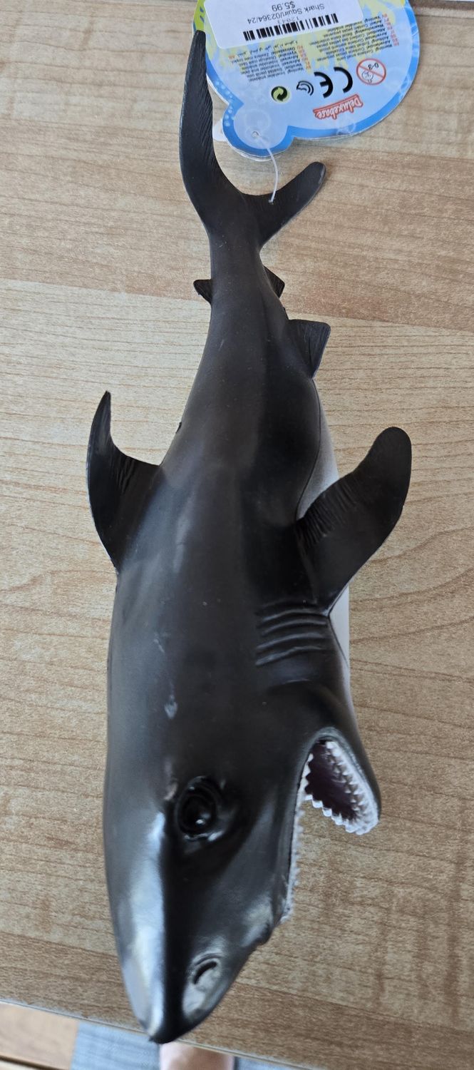 Shark Squirt/02364/24