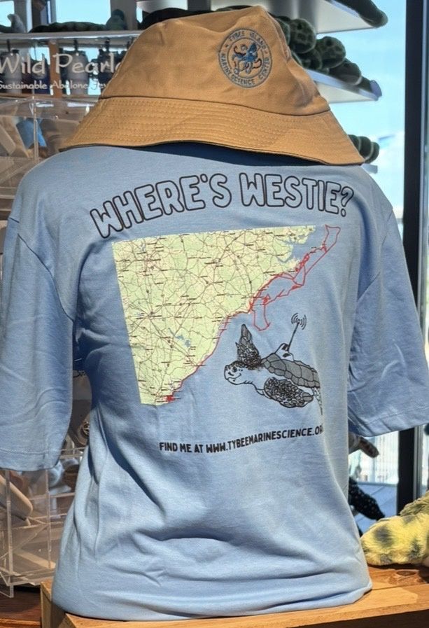 Where's Westie Tee/200/Azure/Large