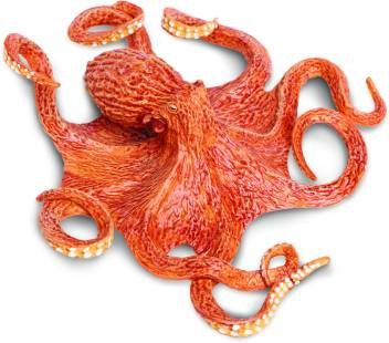 Incredible Octopus/267229