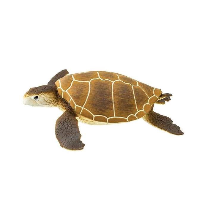 Green  Sea Turtle, WS 202329