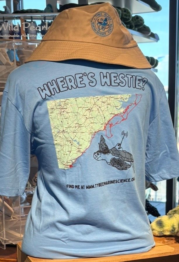 Where's Westie Tee/200/Azure/Medium