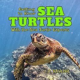 Getting To Know Sea Turtles