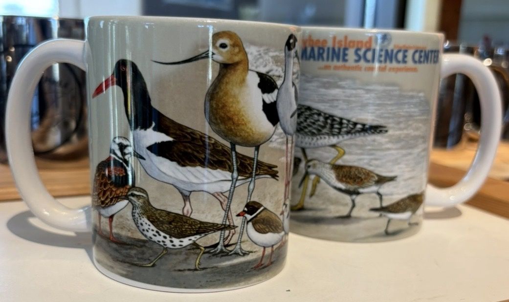 Shorebird Mug