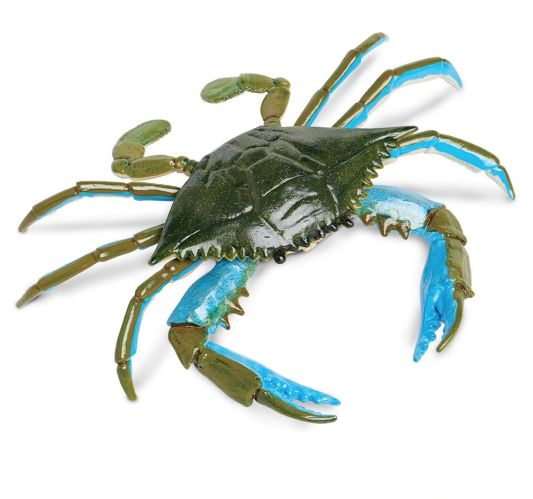 Incredible  Blue Crab/269729