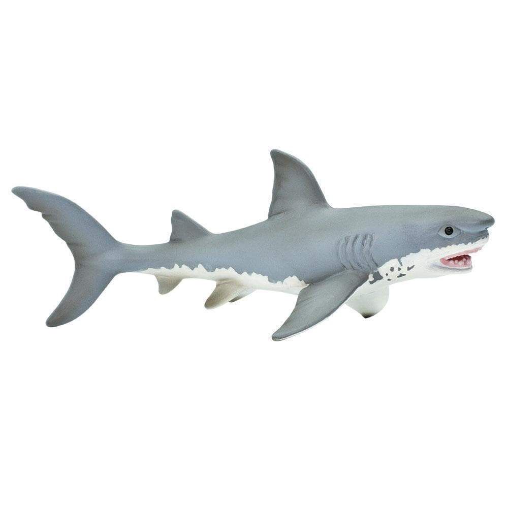 Sealife Great White Shark Safari