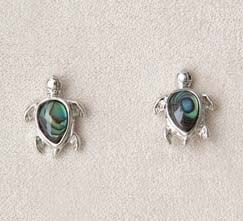 Turtle Storrs ER/8511508