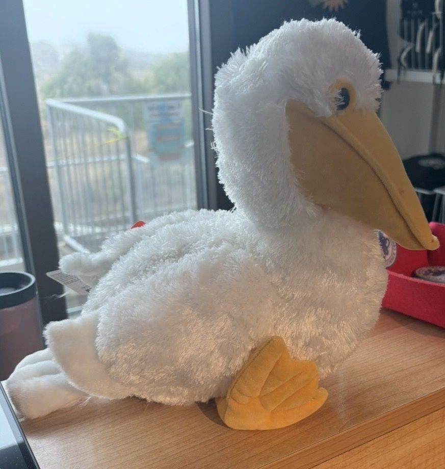 CK White Pelican/21467