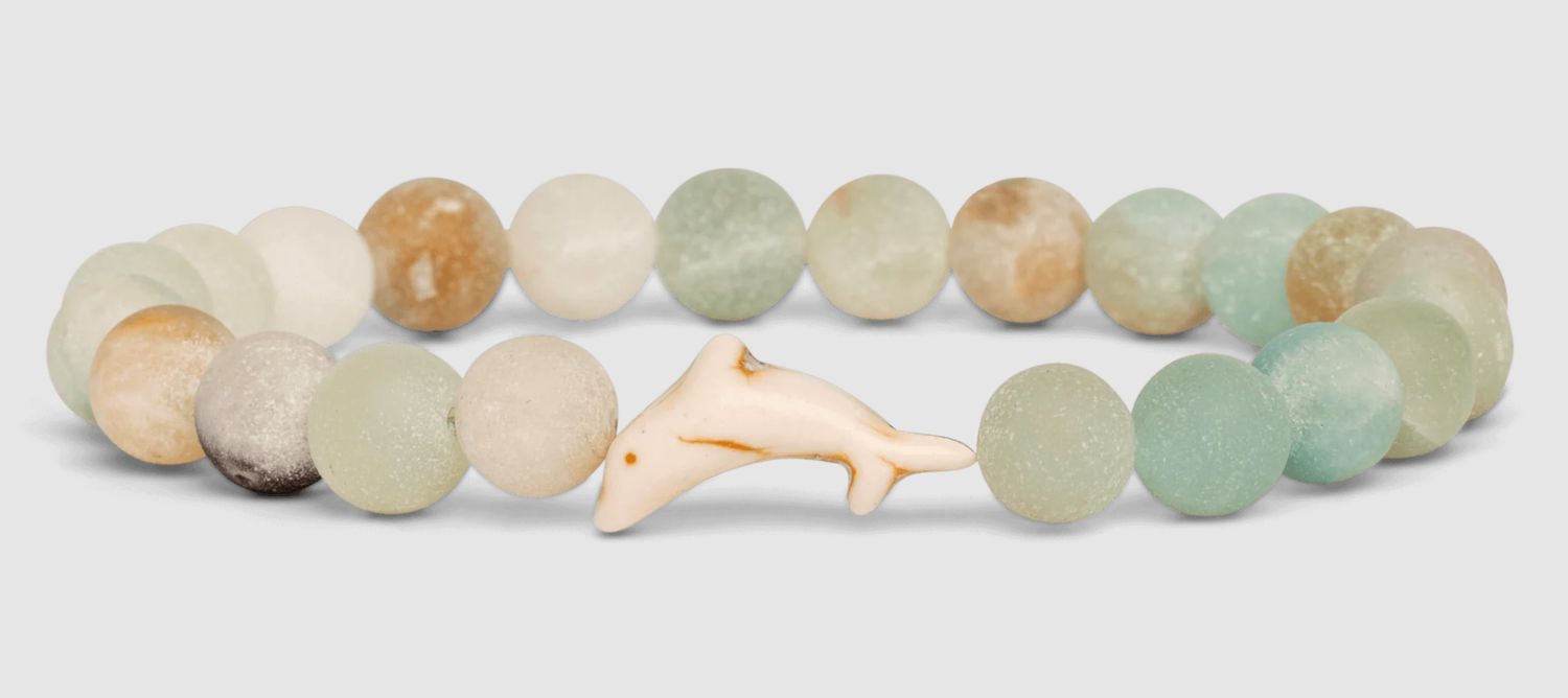 Dolphin Tracking Bracelet