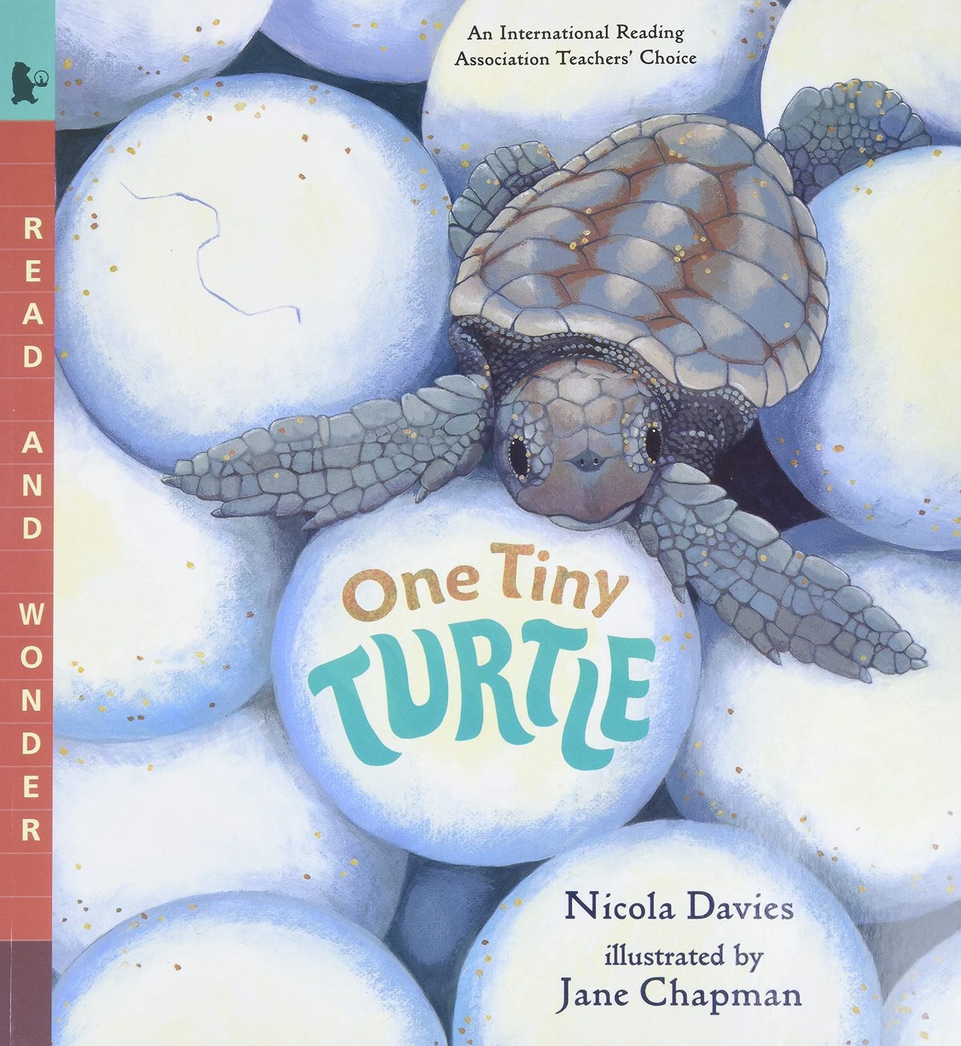 One Tiny Turtle