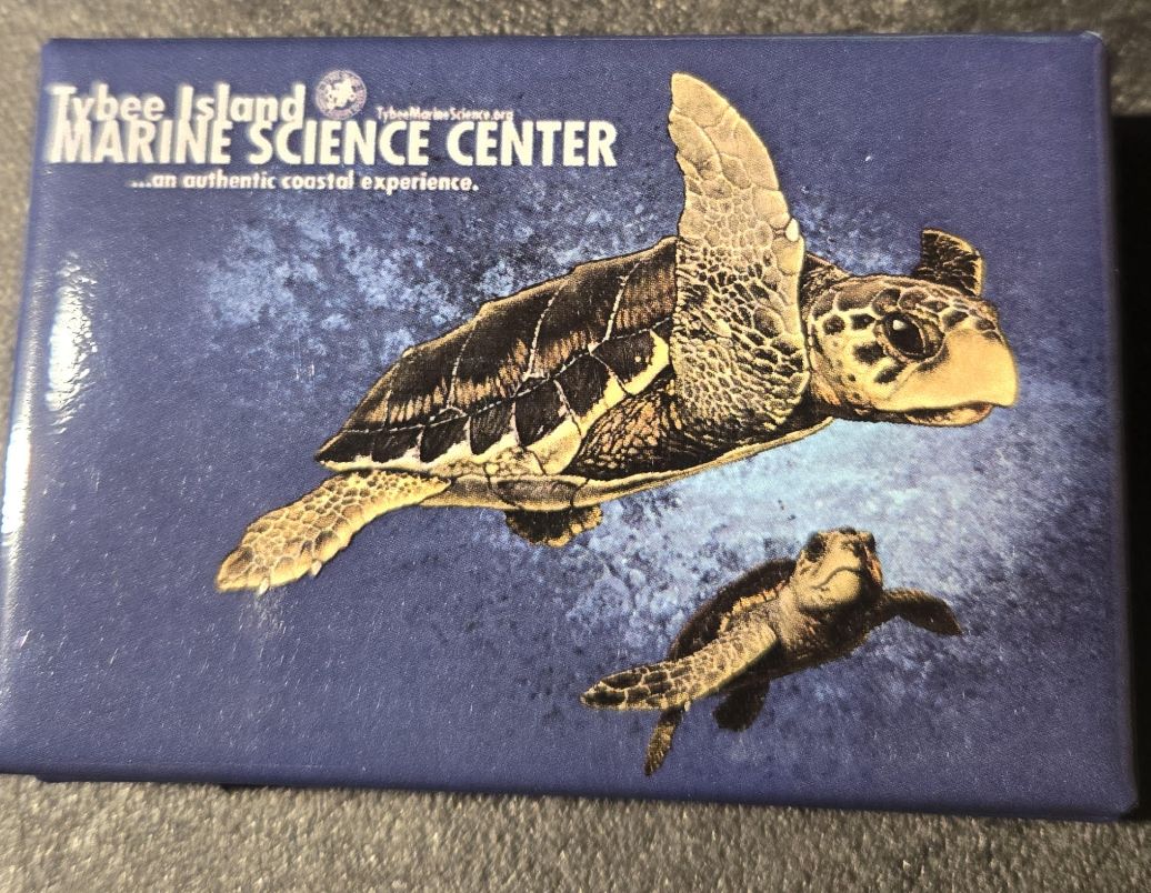 Loggerhead Magnet/WC562G/12