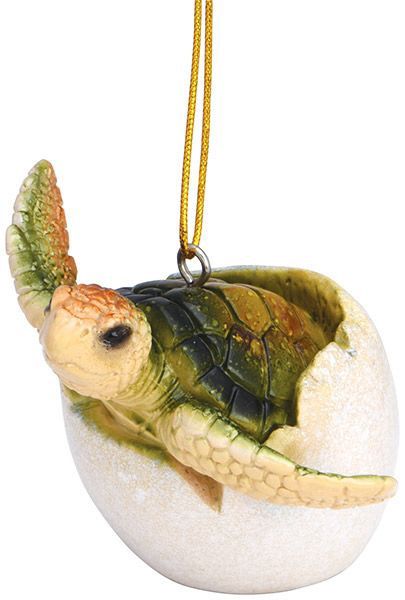 Hatching Turtle Ornament/879-10/12