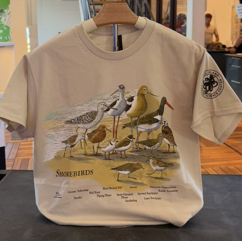 Shore Birds Tshirt/XXLarge