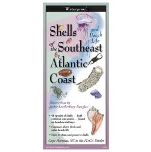 Shells Folding Guide