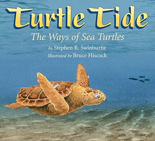 Turtle Tide DISCONTINUED