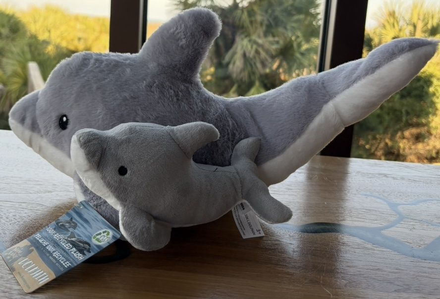 Dolphin/baby/A15531