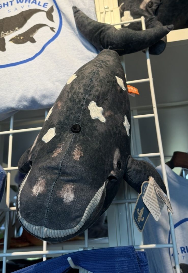 North Atlantic Right Whale Plushie 16"/29330/12