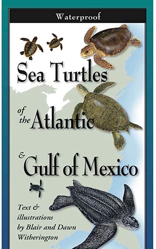Sea Turtles of the Atl. & Gulf