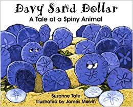 Davy Sand Dollar