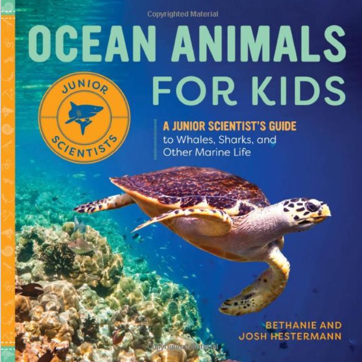OCEAN ANIMALS FOR KIDS